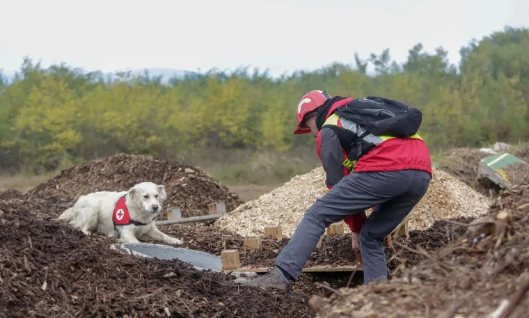 Psi tragači u potrazi za nestalima: U Jastrebarskom održana pokazna vježba