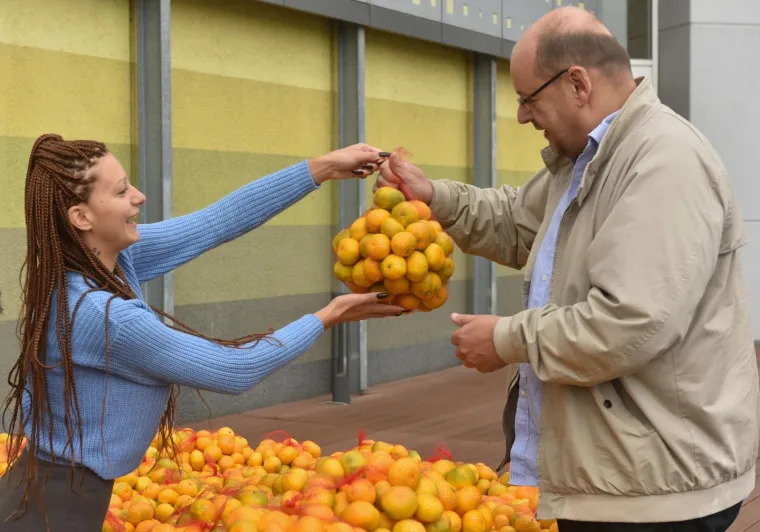 MANDARINA SE VRATILA: Kiki je ponovno na štandu, kupaca je mnogo, a ona je promijenila imidž
