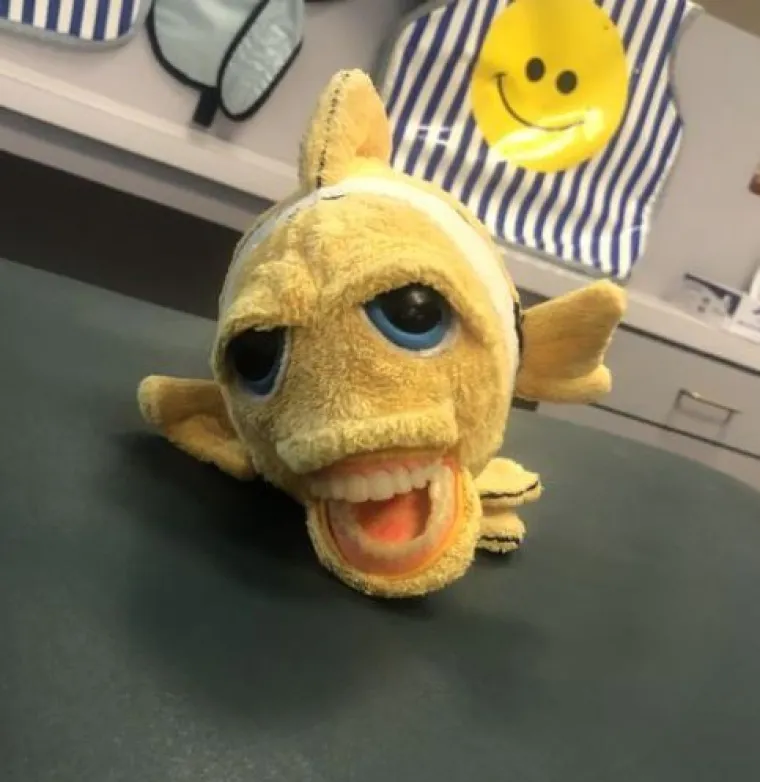 Nitko ne zna za&scaron;to postoje, ali ovo su najgadljivije i najbizarnije stvari koje ćete danas vidjeti