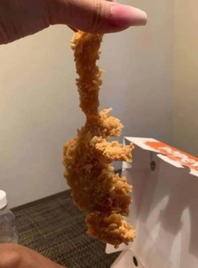 Nitko ne zna za&scaron;to postoje, ali ovo su najgadljivije i najbizarnije stvari koje ćete danas vidjeti