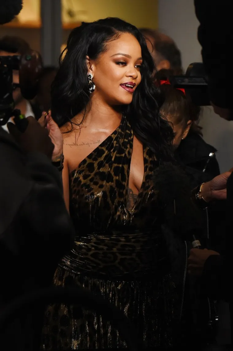 LJEPOTICA S BARBADOSA PLIJENILA POGLEDE U NEW YORKU: Rihanna u haljini leopard uzorka pokazala sve svoje draži