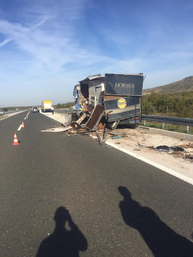 Nesreća kod Benkovca: Sudarila se dva kamiona, konji se rastrčali po cesti, jedan stradao