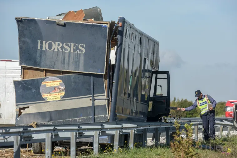 Nesreća kod Benkovca: Sudarila se dva kamiona, konji se rastrčali po cesti, jedan stradao