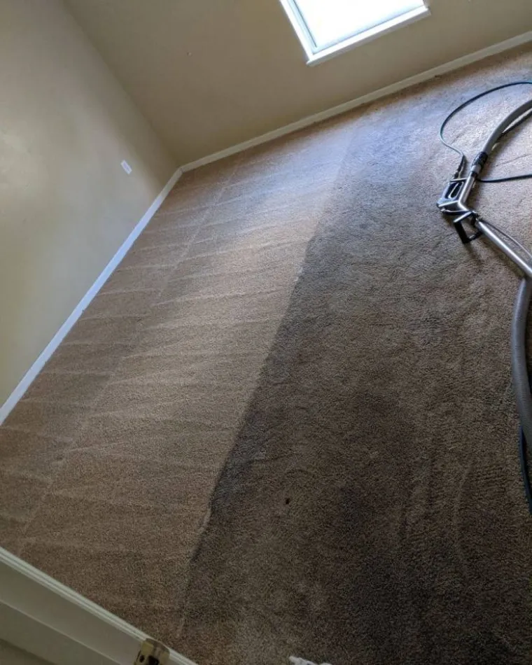 SITNICE KOJE OSTAVLJAJU BEZ DAHA: Ljepota i sklad mogu se naći tamo gdje biste najmanje očekivali