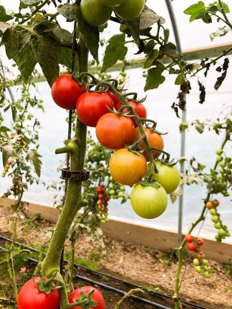SITNICE KOJE OSTAVLJAJU BEZ DAHA: Ljepota i sklad mogu se naći tamo gdje biste najmanje očekivali