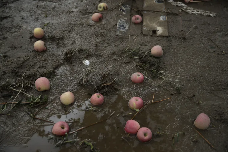 Hagibis pokazao svoju moć: 66 poginulih, razorena mjesta, ljudi u skloni&scaron;tima...