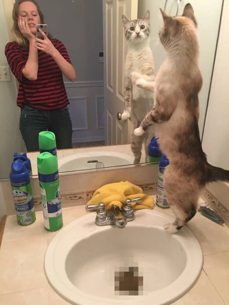 DAN IM NIJE MOGAO POČETI GORE: Ako mislite da ste vi pehist, gledajte ovo; bilo bi bolje da su ostali u krevetu