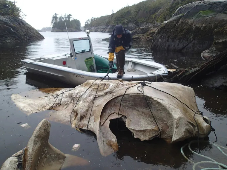 STVARI KOJE STE ZAMI&Scaron;LJALI POTPUNO POGRE&Scaron;NO: Stvarna veličina nekih stvari prilično će vas iznenaditi