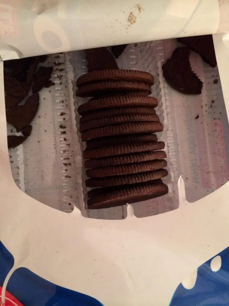 OVAKVE ZLIKOVCE RIJETKO IMATE PRILIKU VIDJETI: Kad shvatite &scaron;to su napravili, dići će vam se svaka dlaka na glavi