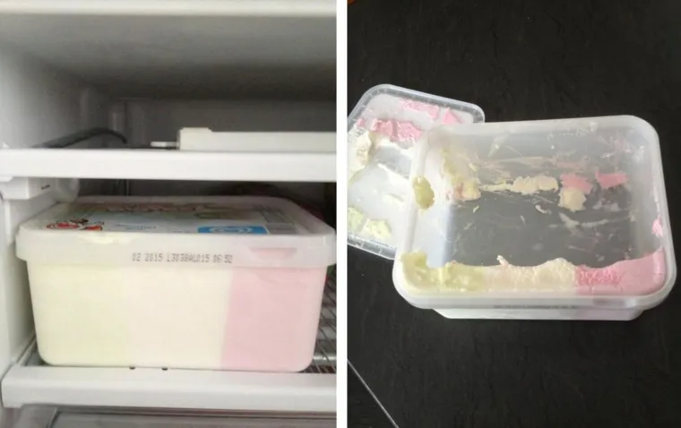 OVAKVE ZLIKOVCE RIJETKO IMATE PRILIKU VIDJETI: Kad shvatite &scaron;to su napravili, dići će vam se svaka dlaka na glavi