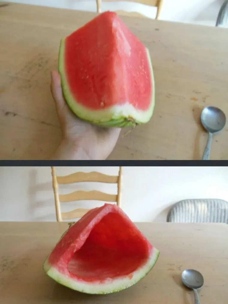 OVAKVE ZLIKOVCE RIJETKO IMATE PRILIKU VIDJETI: Kad shvatite &scaron;to su napravili, dići će vam se svaka dlaka na glavi