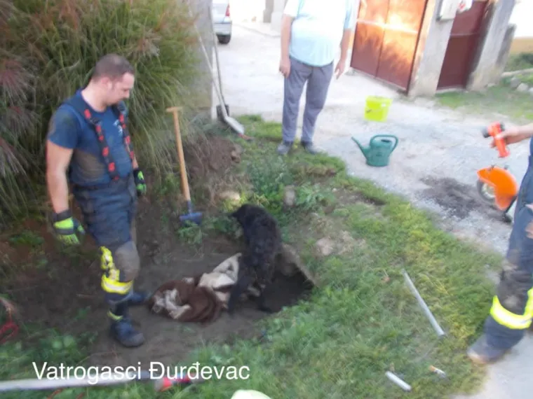 Vatrogasac iz Đurđevca se zavukao u usku cijev kanala kako bi spasio nesretnu životinju
