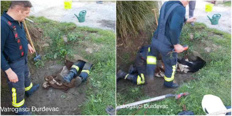 Vatrogasci uspje&scaron;no spasili psa koji je zaglavio u uskoj cijevi kanala