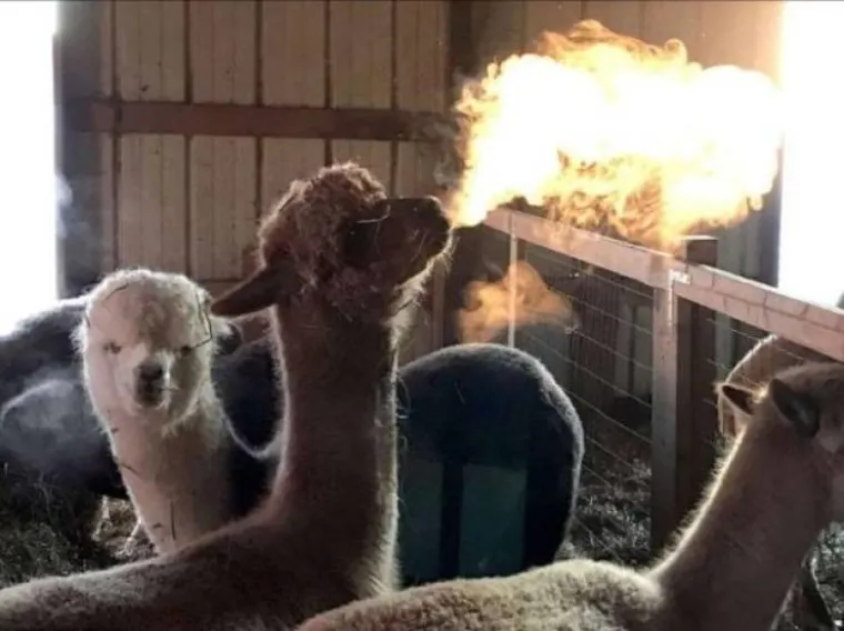 ŽIVOT JE ILUZIJA, SAMI STVARAMO STVARNOST:  To je jedino logično obja&scaron;njenje za ove fotografije