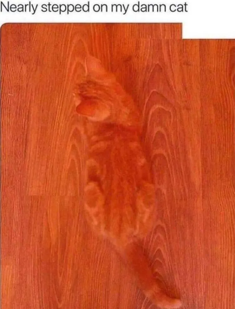 ŽIVOT JE ILUZIJA, SAMI STVARAMO STVARNOST:  To je jedino logično obja&scaron;njenje za ove fotografije