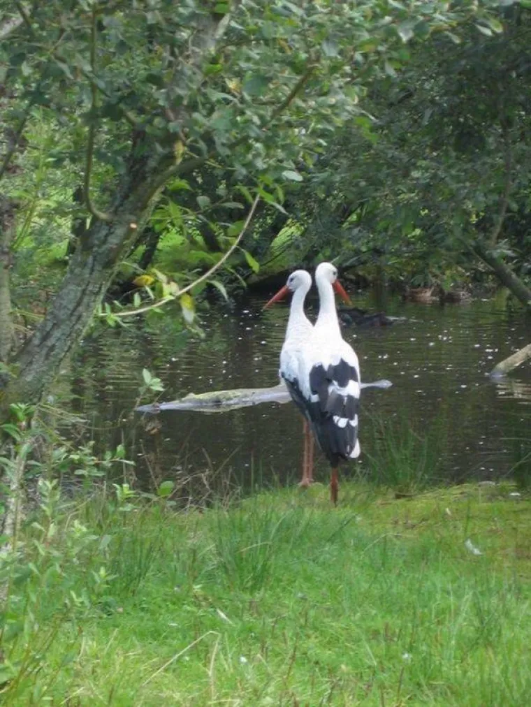 ŽIVOT JE ILUZIJA, SAMI STVARAMO STVARNOST:  To je jedino logično obja&scaron;njenje za ove fotografije