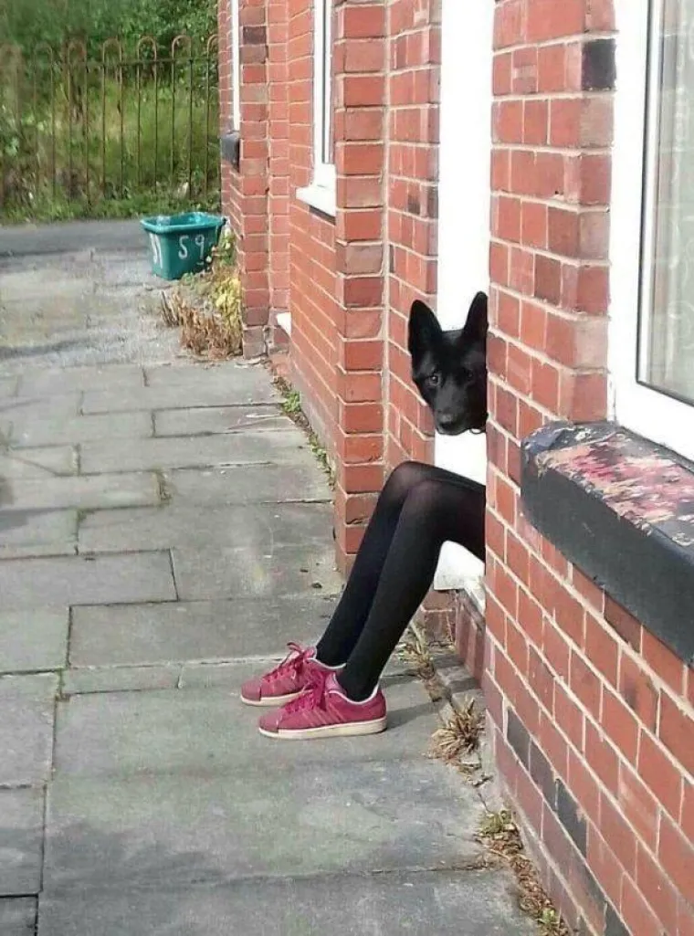 ŽIVOT JE ILUZIJA, SAMI STVARAMO STVARNOST:  To je jedino logično obja&scaron;njenje za ove fotografije