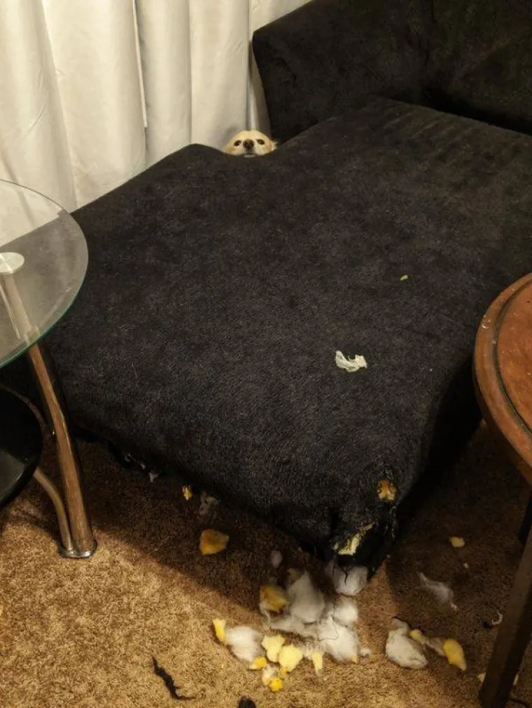 PRIZORI POZNATI SVIMA KOJI SU IKADA IMALI CIMERA: I zbog kojih im danas pada mrak na oči