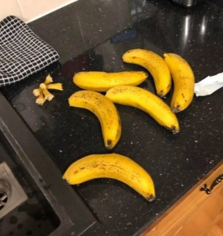 Za sve studente koji nisu imali sreće s cimerima: Od ovog nereda ćete se naježiti