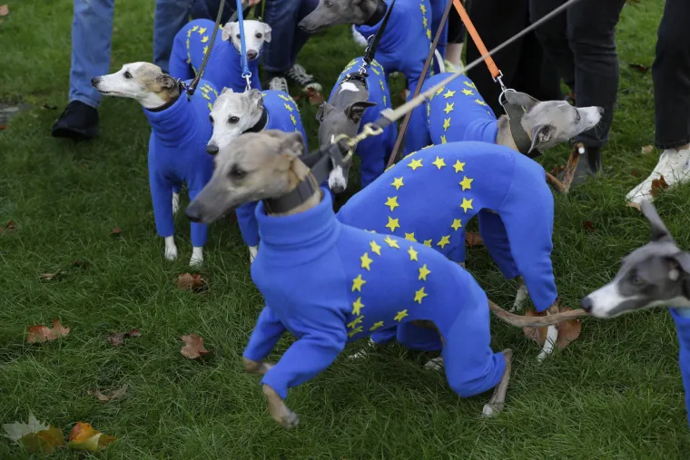 Čitav je London na nogama! Vi&scaron;e desetaka tisuća ljudi iza&scaron;lo na ulice, traže novi referendum i sve ih je vi&scaron;e!