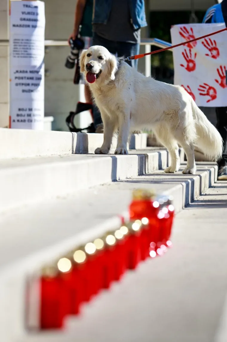 Prosvjed "Pravda za djevojčice" diljem Hrvatske: 'Imamo dru&scaron;tvo kao slučaj i zato ga moramo mijenjati'