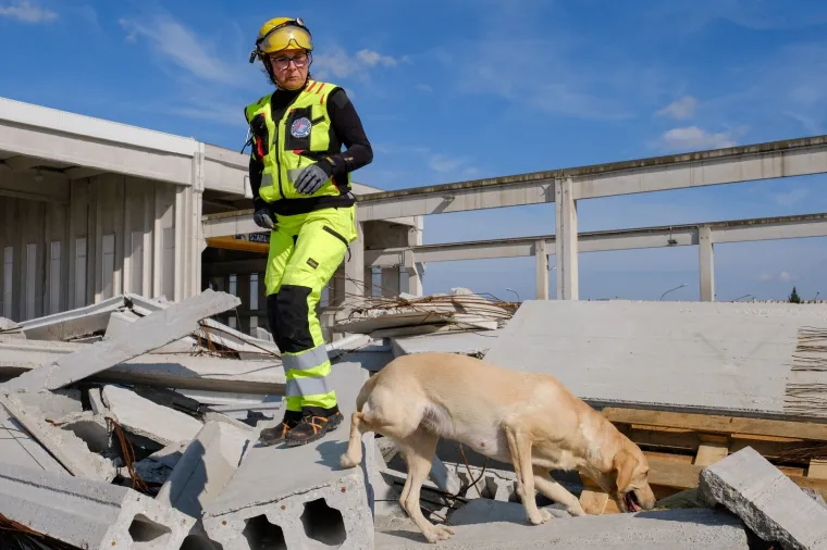 Potražni psi su naši prijatelji: Tijekom eksplozija, potresa i katastrofa oni nas mogu najbrže pronaći