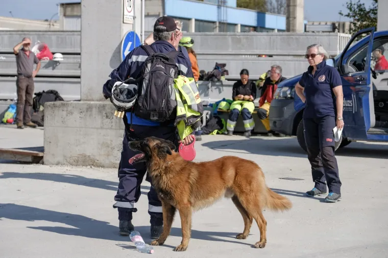 Potražni psi su naši prijatelji: Tijekom eksplozija, potresa i katastrofa oni nas mogu najbrže pronaći