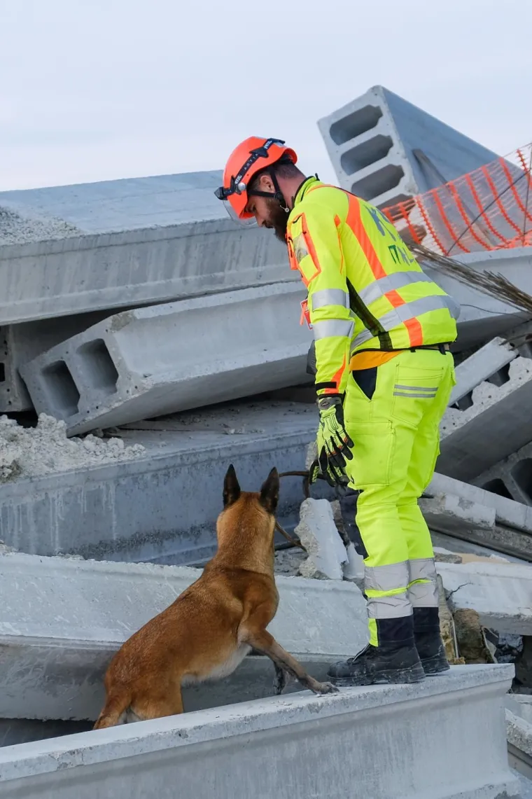 Potražni psi su naši prijatelji: Tijekom eksplozija, potresa i katastrofa oni nas mogu najbrže pronaći