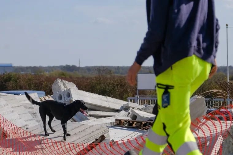 Potražni psi su naši prijatelji: Tijekom eksplozija, potresa i katastrofa oni nas mogu najbrže pronaći