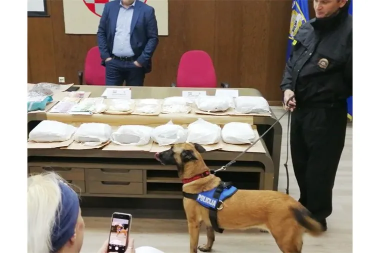 Velik 'ulov' istarske policije': Pronađeno 2,1 kg kokaina, 22 kg marihuane, 31.220 kuna, 41.215 eura...