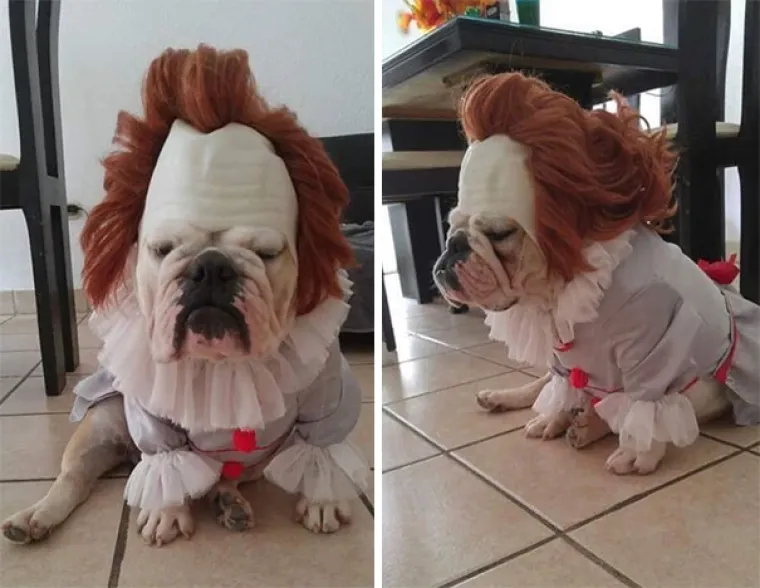 Za sve bez ideja: Ovo su pro&scaron;le godine bile najjače Halloween maske