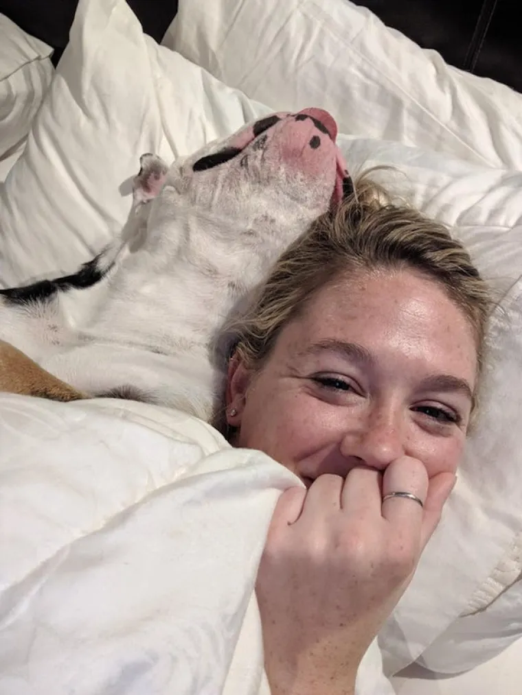 JESU LI OVO NAJURNEBESNIJI PSI? Vlasnici pokazali &scaron;to ljubimci rade kada ih ne gledate