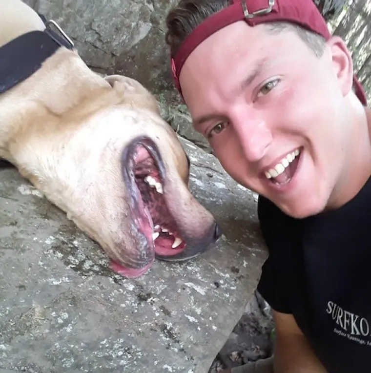 JESU LI OVO NAJURNEBESNIJI PSI? Vlasnici pokazali &scaron;to ljubimci rade kada ih ne gledate