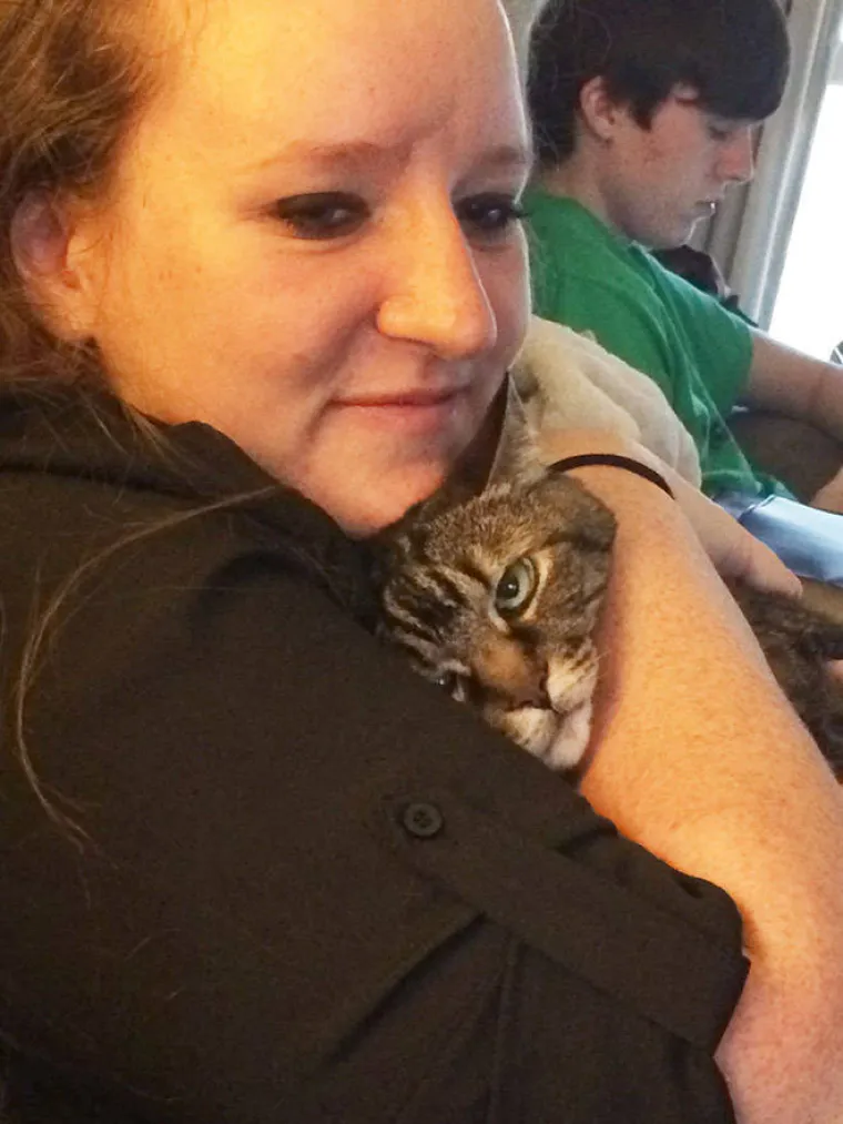 LJUDI, PRESTANITE SE SLIKATI S NAMA! Toliko mrzovolje, prezira i hladnog bijesa mogu pokazati samo mace