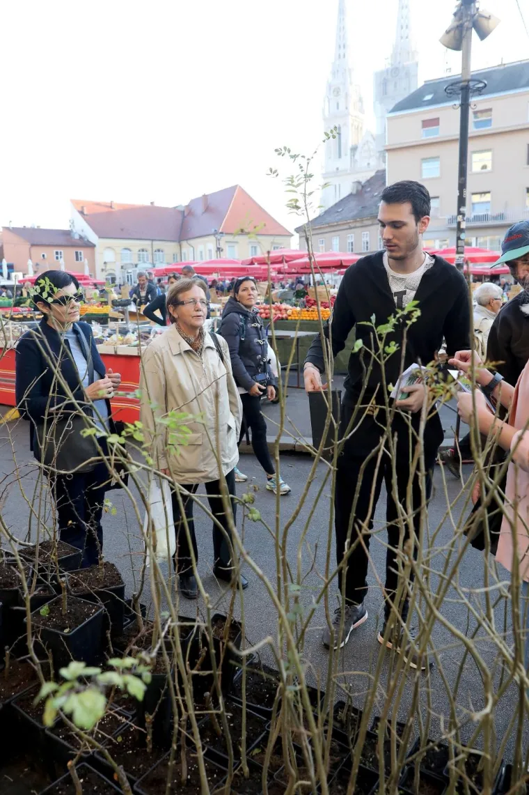 'Zasadi drvo, ne budi panj': Hrvatska sadi tisuće stabala, građanima na Dolcu podijeljene sadice