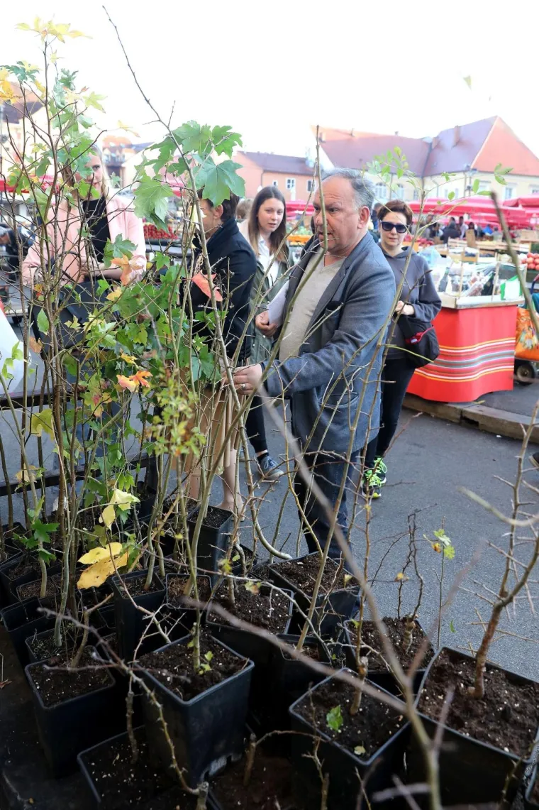 'Zasadi drvo, ne budi panj': Hrvatska sadi tisuće stabala, građanima na Dolcu podijeljene sadice