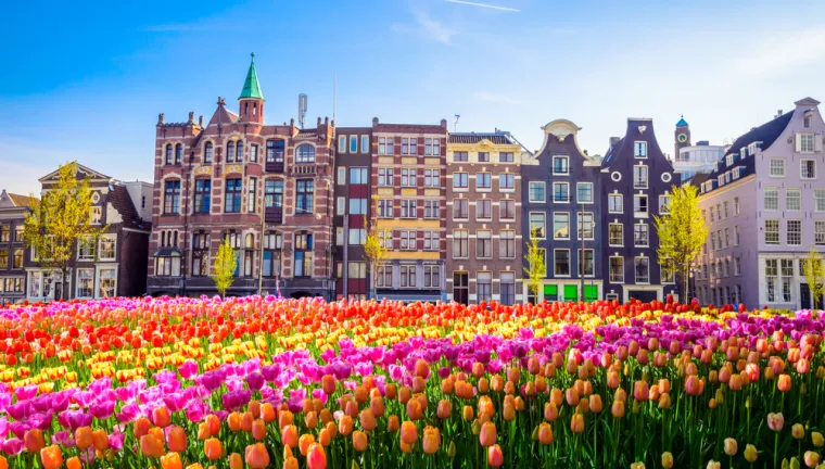 U Nizozemskoj se 2020. slavi 75 godina slobode od završetka 2. svjetskog rata pa su pripremili i svakakve proslave. U Nizozemskoj uvijek je odlična ideja posjetiti Amsterdam. Ima mnogo znamenitosti koje se nalaze na popisu Unescove svjetske baštine.