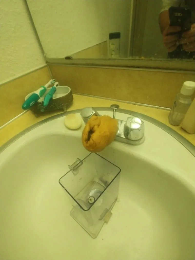 Kako ono ide - WC papir ima najodvratniji posao na svijetu?! Nakon što pogledate ove fotografije (samo najhrabriji će doista i doći do kraja galerije), složit ćete se da nii vodoinstalaterima nije mnogo bolje na poslu.