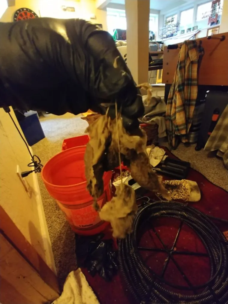 NIJE ZA ONE SLABA ŽELUCA (ALI OZBILJNO): Vodoinstalateri dijele najgore prizore koja su vidjeli. Ne otvarajte prije večere!