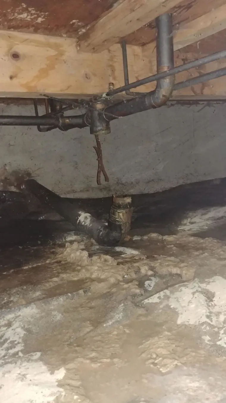 NIJE ZA ONE SLABA ŽELUCA (ALI OZBILJNO): Vodoinstalateri dijele najgore prizore koja su vidjeli. Ne otvarajte prije večere!