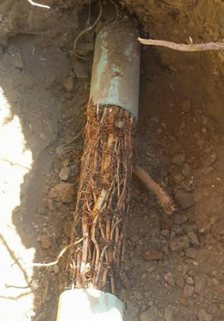 NIJE ZA ONE SLABA ŽELUCA (ALI OZBILJNO): Vodoinstalateri dijele najgore prizore koja su vidjeli. Ne otvarajte prije večere!