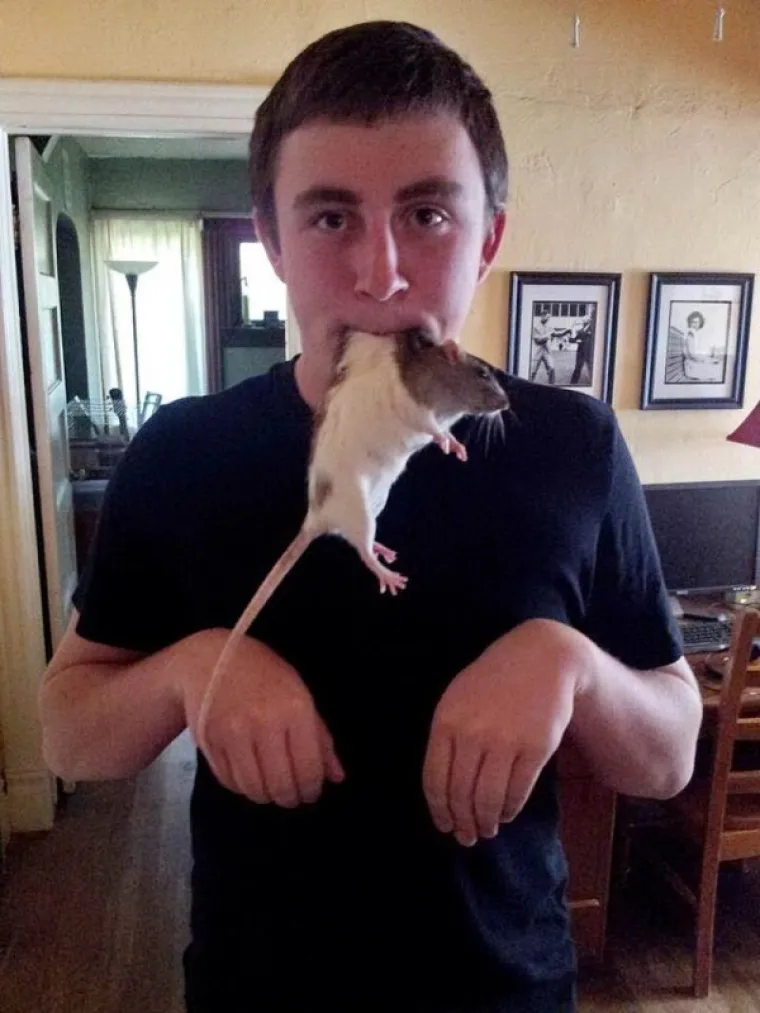 NEKIMA JE RUGANJE SMISAO ŽIVOTA: Da, ove su spačke strahovito smiješne, ali gdje će im duša?