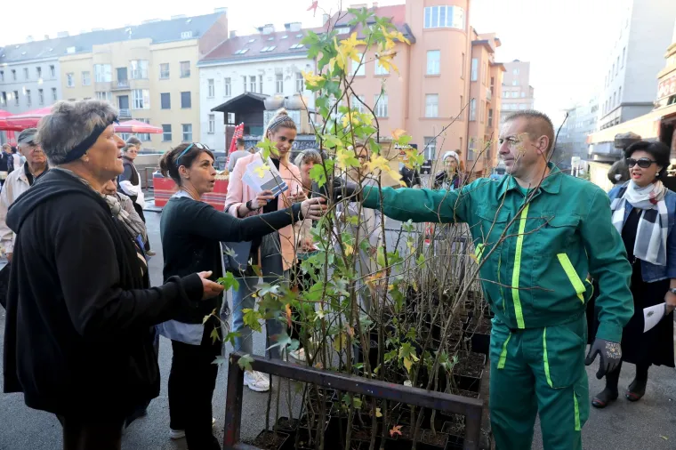 Na zagrebačkoj tržnici Dolac građanima se dijele sadnice stabala (jasena, gloga i likvidambara) u sklopu akcije "Zasadi drvo, ne budi panj". Cilj je potaknuti građane da u tri dana diljem Hrvatske zasade što više stabala na privatnim i javnim površinama.
