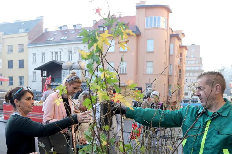 ZASADI DRVO, NE BUDI PANJ: Na Dolcu se Zagrepčanima dijele sadnice stabala