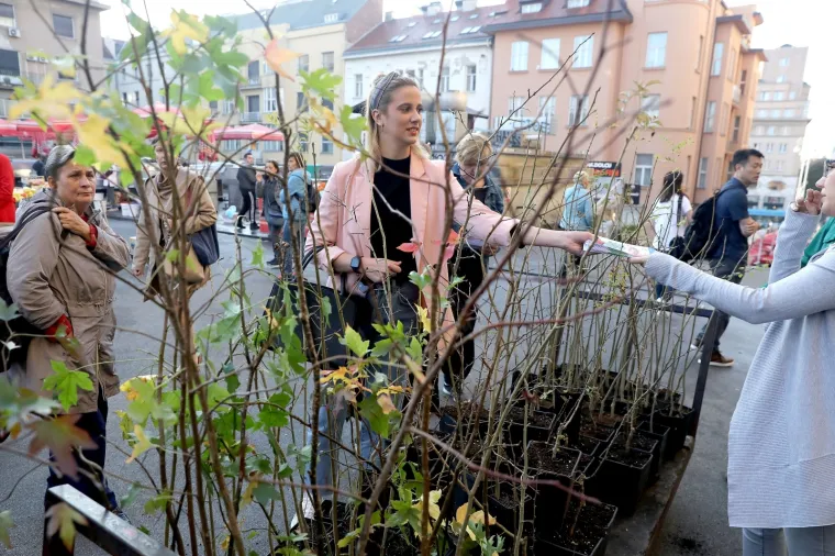 ZASADI DRVO, NE BUDI PANJ: Na Dolcu se Zagrepčanima dijele sadnice stabala