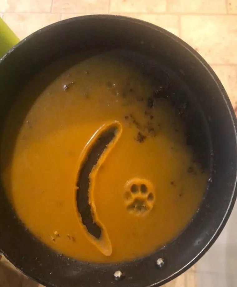 A SAMO SU ŽELJELI RUČATI: Kad su vidjeli &scaron;to su dobili na tanjuru, umalo im je pozlilo