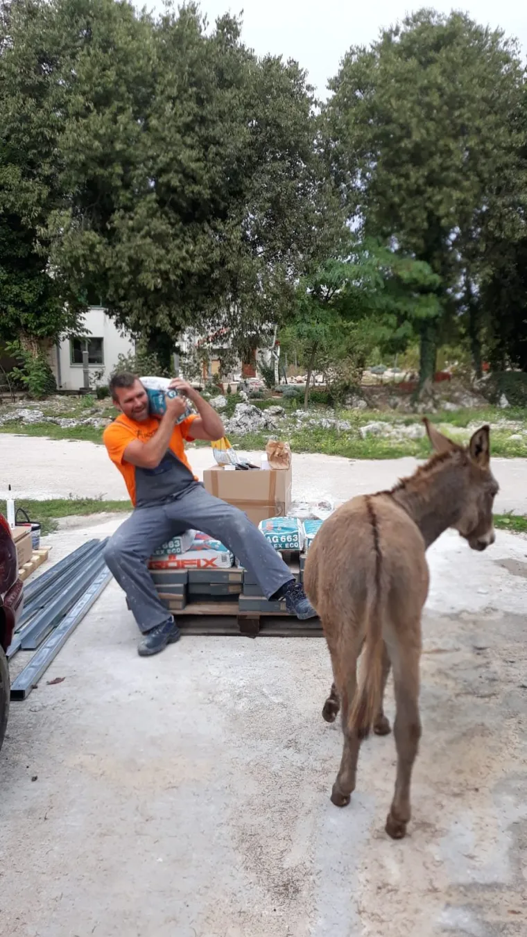 Nestali Puki i Etna: Traže se magarac i kobila, djevojčice su pretužne bez njih