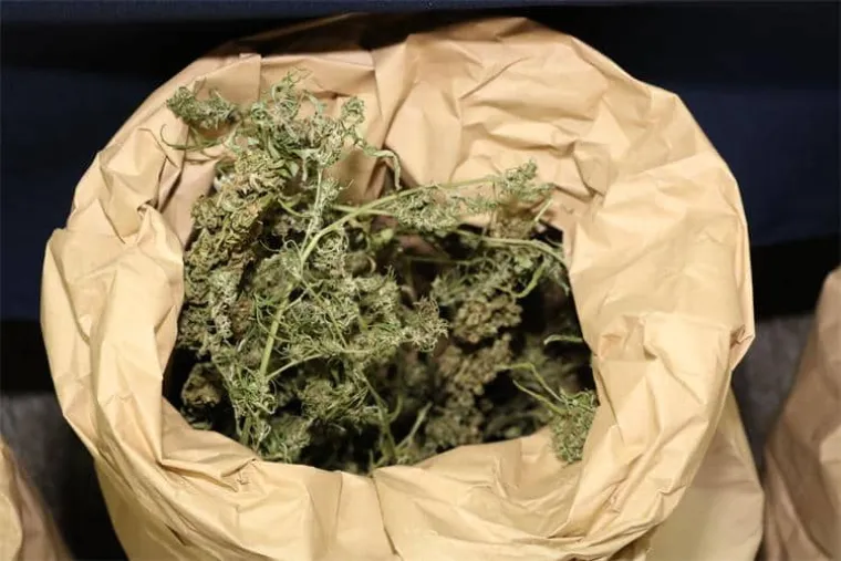 Osječka policija uhitila dvojicu mu&scaron;karaca s 15 kilograma marihuane i oružjem