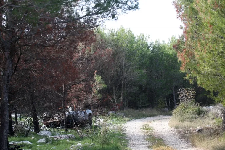Misterij zapaljenog kabrioleta još nije riješen: Tko je prije tri mjeseca sletio s autom u šumu?