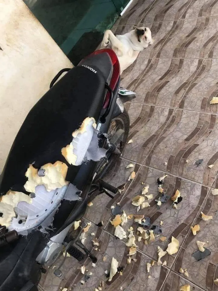 MISLITE DA JE VAMA DAN LO&Scaron;E POČEO? Možda, ali barem niste pro&scaron;li kao ovi hodajući pehisti